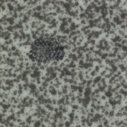 ZELIA generated gray stroke defect surface tile synthetic data image samples