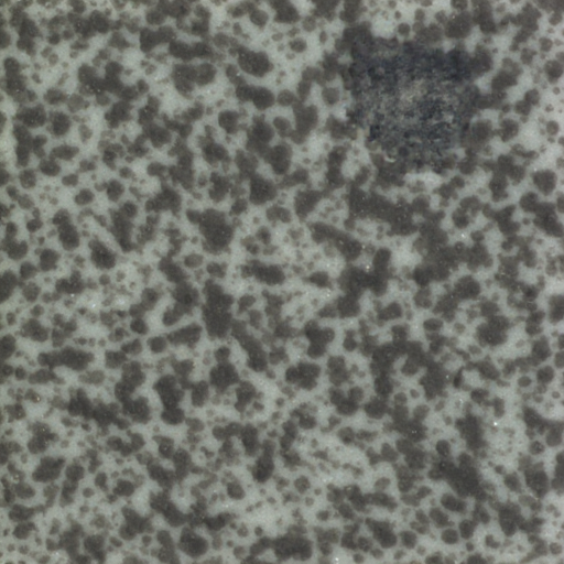 ZELIA generated gray stroke defect surface tile synthetic data image samples