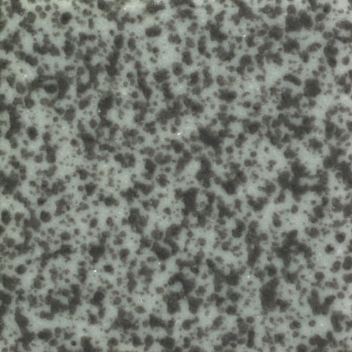 ZELIA generated clean surface tile synthetic data image samples