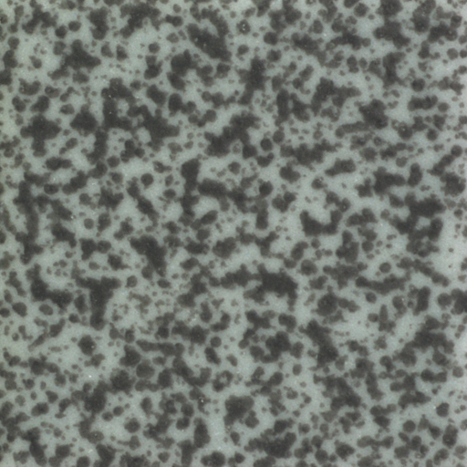 ZELIA generated clean surface tile synthetic data image samples