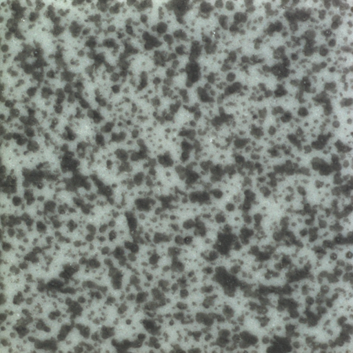 ZELIA generated clean surface tile synthetic data image samples
