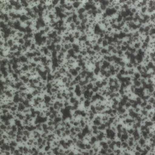 ZELIA generated clean surface tile synthetic data image samples