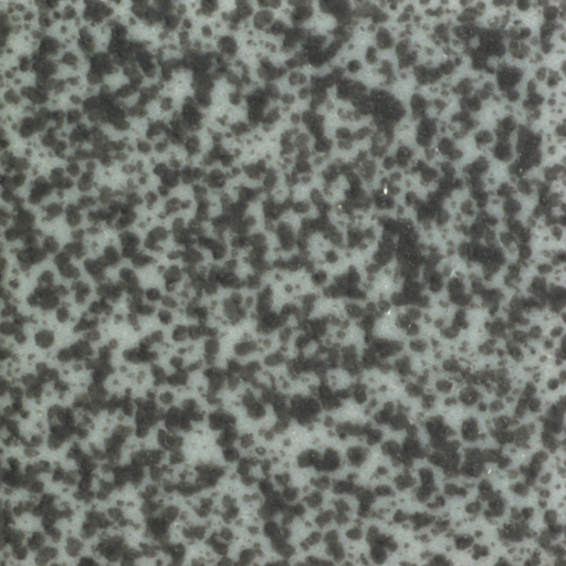 ZELIA generated clean surface tile synthetic data image samples