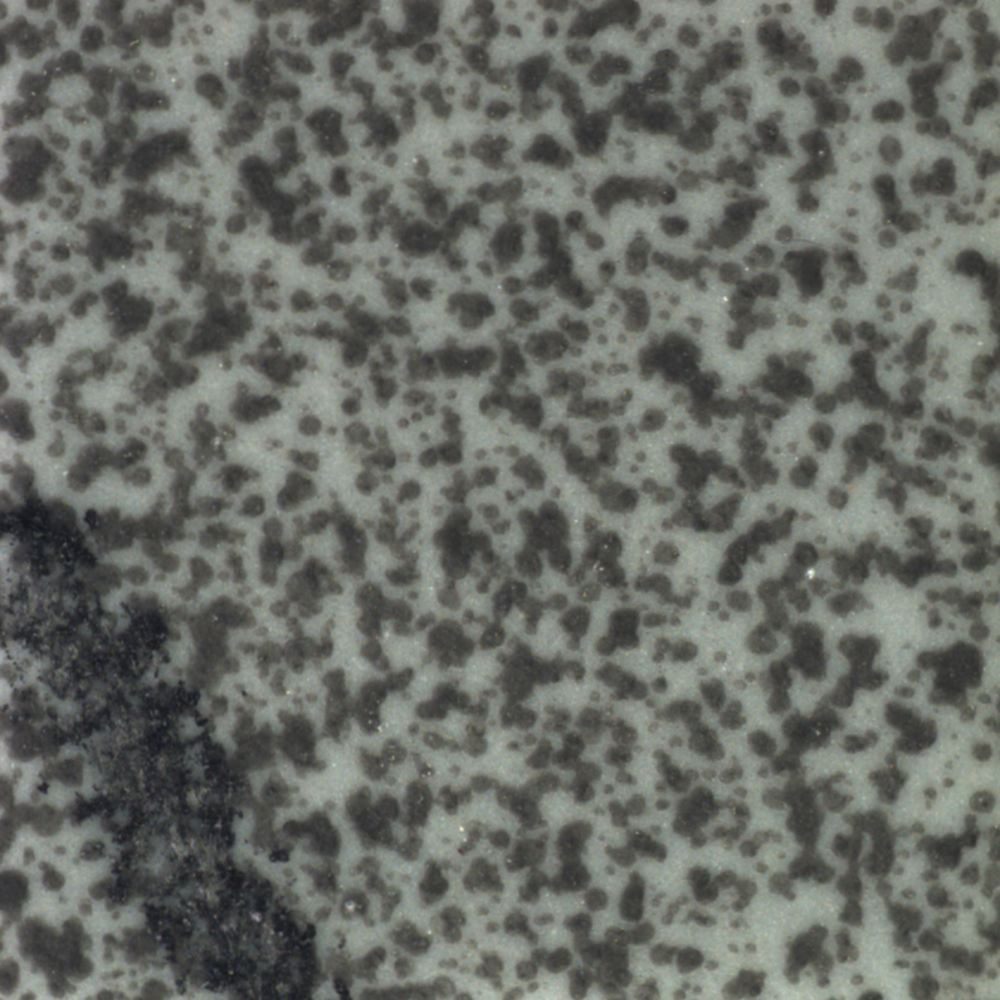 Macro close-up of a gray surface densely speckled with small dark spots.